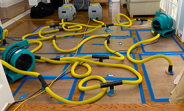 Professional Structural Drying And Dehumidification technician working in Pinckney, MI