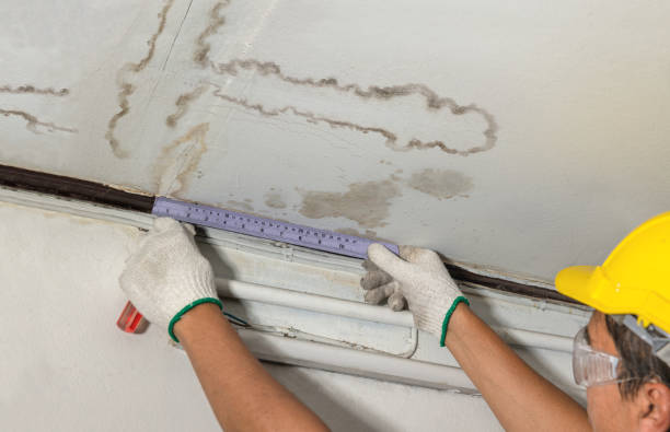 Affordable Structural Drying And Dehumidification solutions in Pinckney, MI